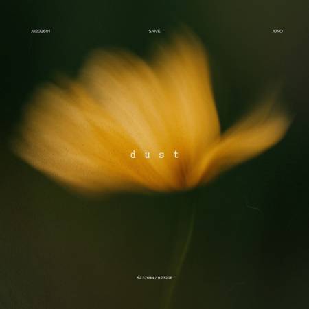 Saive – Dust